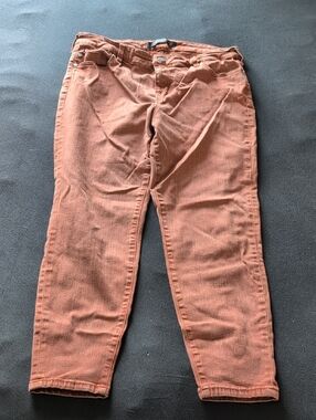 Rust Orange Brown Denim Jeans Liverpool Las Angeles Size 32/14 Ankle Skinny